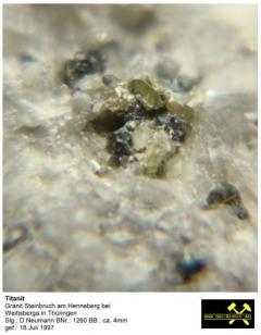 Titanit - Granit Stbr. Henneberg b. Weitisberga Thüringen, (D) Slg. D+O.Neumann  BNr. 01260.JPG